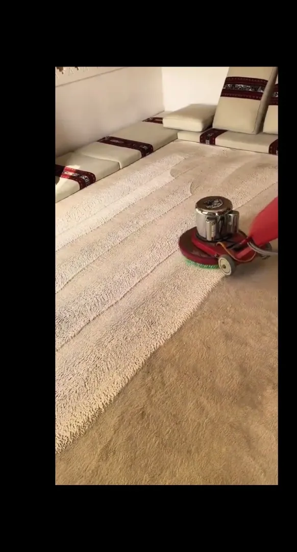 تنظيف السجاد والموكيت: دليل شامل لإزالة الغبار والبقع والروائح